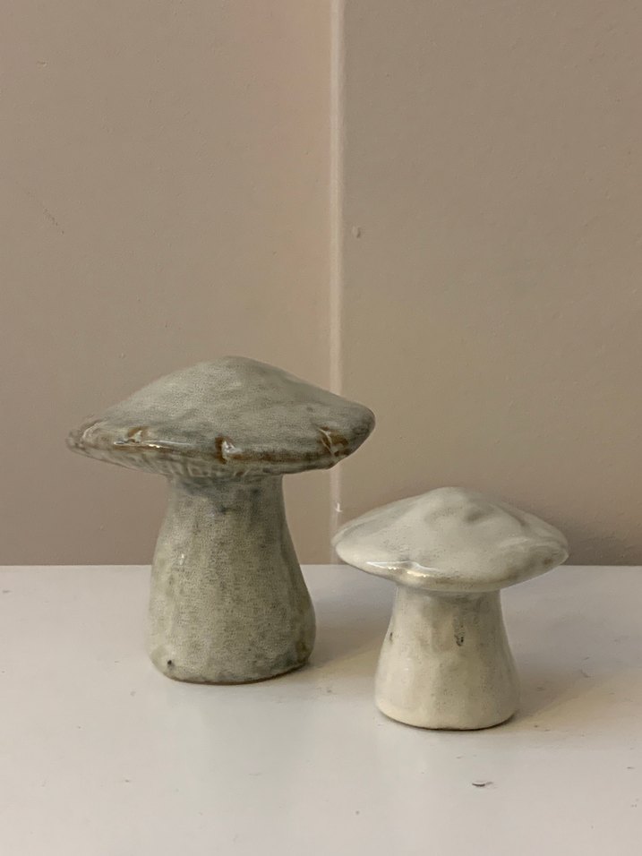 Mantar biblolar - Görsel 2