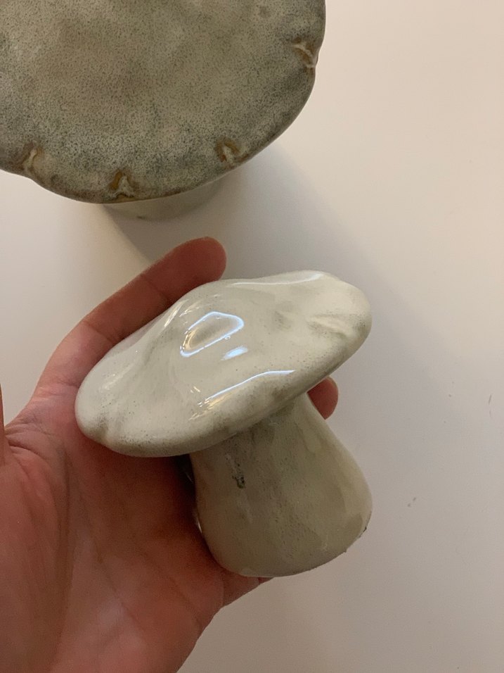 Mantar biblolar - Görsel 3