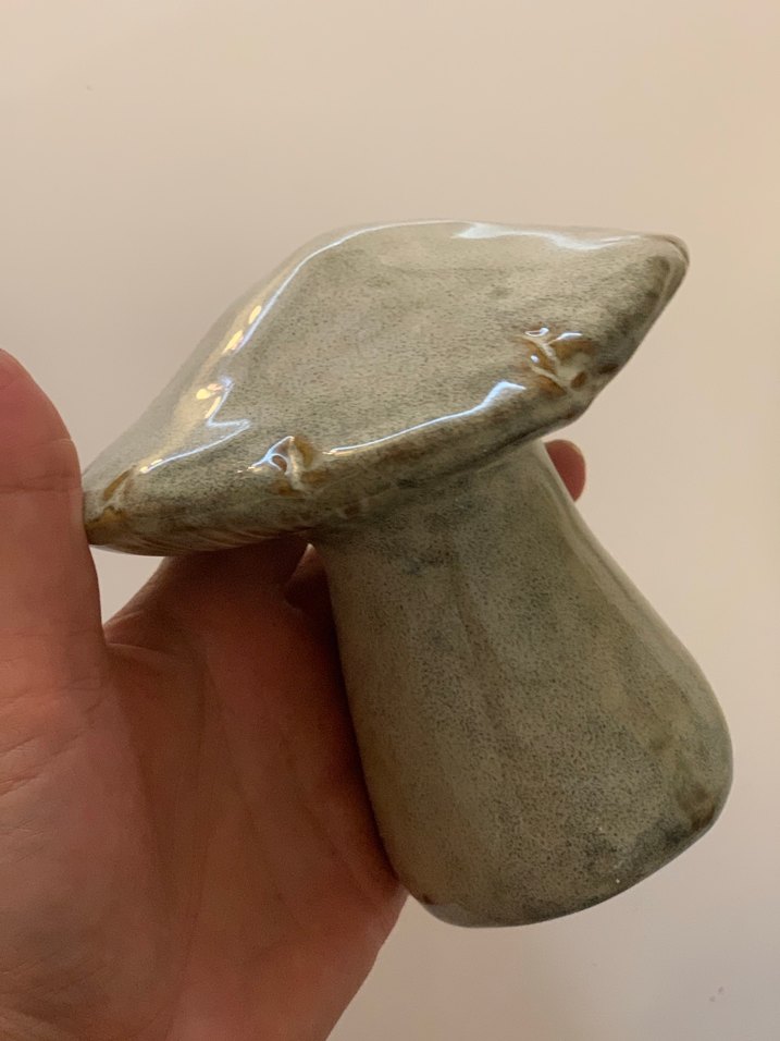 Mantar biblolar - Görsel 4