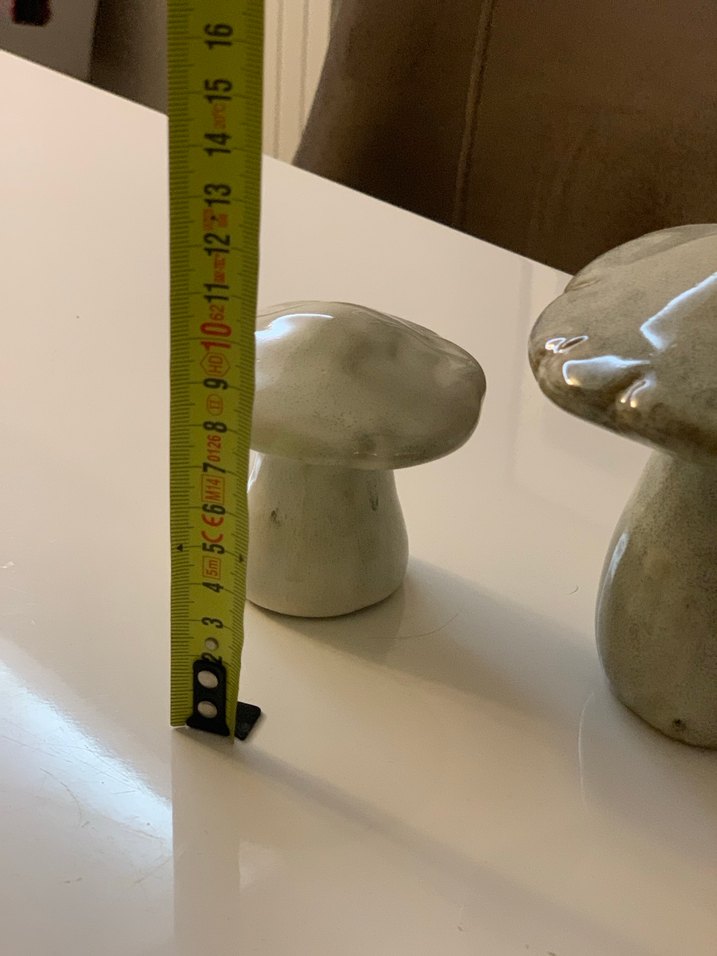 Mantar biblolar - Görsel 5