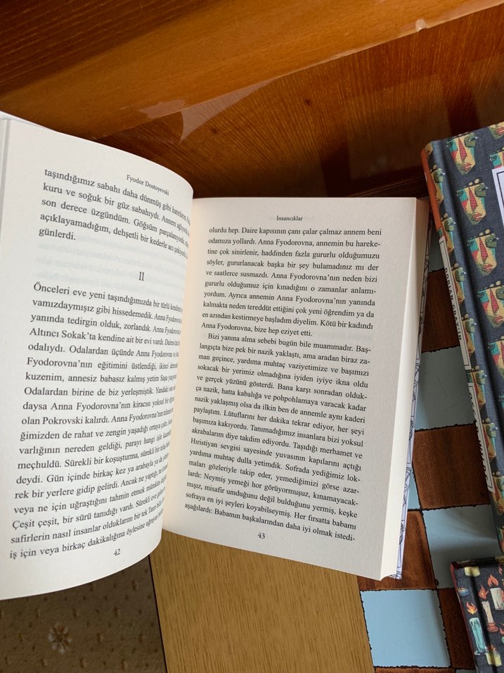 Dostoyovski Altın Kapaklı Klasik Kitap Seti - Görsel 3