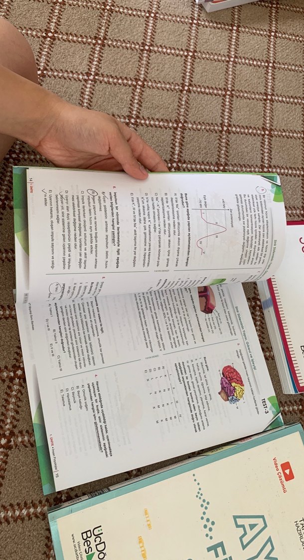 AYT Kimya, Biyoloji ve Fizik Soru Bankaları YKS - Görsel 5