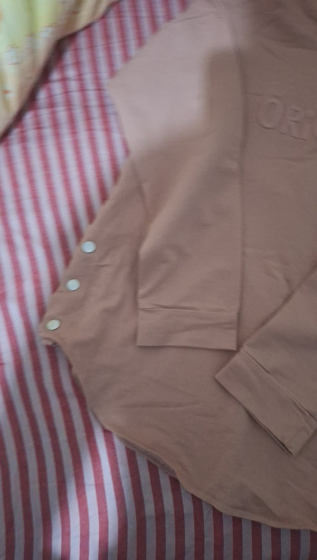 Pembe Kapüşonlu Düğmeli Kadın Sweatshirt - Görsel 3