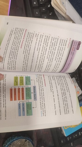 Beden Renk Karekök- Temel Coğrafya Bilgileri- Kitapçık