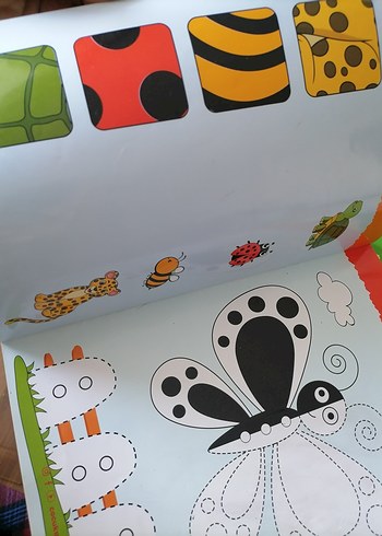 Beden Yaz-Sil Serisi 12 kitap