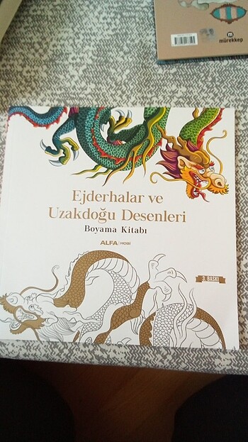 Ejderhalar ve uzak doğu desenleri yetişkin boyama kitabı 