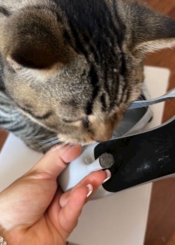 Zara topuklu ayakkabi - Görsel 4