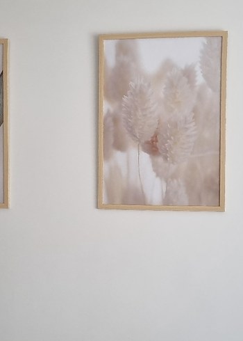 Bej Çiçek Desenli Hafif Renkli Tablo