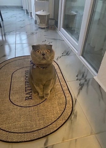 İkea kedi oyuncağı - Görsel 4