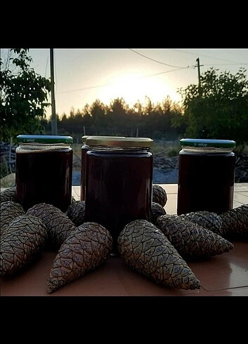 Kozalak şurubu/ pekmezi