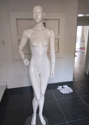 Vitrin Mankeni