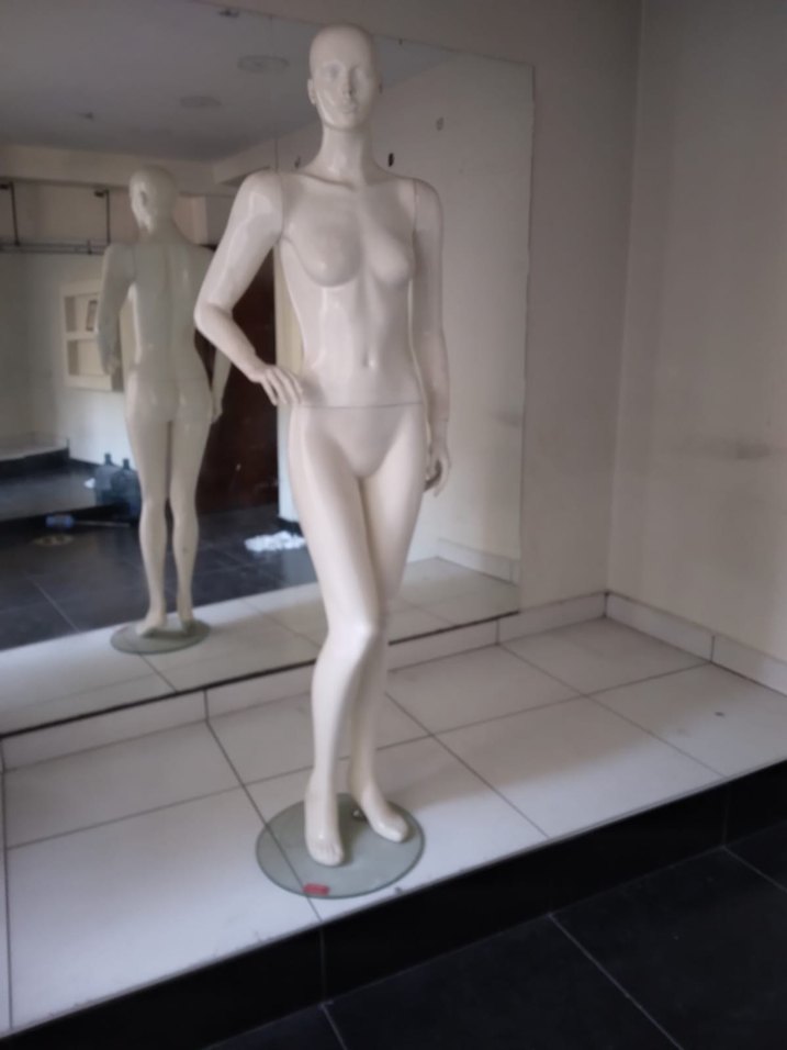 Vitrin Mankeni - Görsel 2