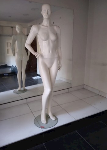 Vitrin Mankeni - Görsel 2