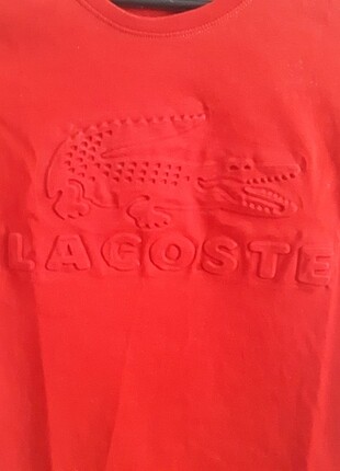 Lacoste Erkek çocuk tshirt