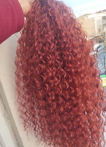 Tarçın Bakır Afro Atkuyruğu 