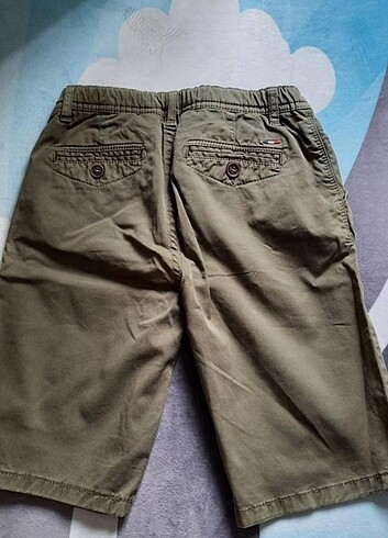 U.S Polo Assn. Polo şort