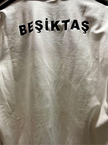 Beşiktaş Kartal Yuvası