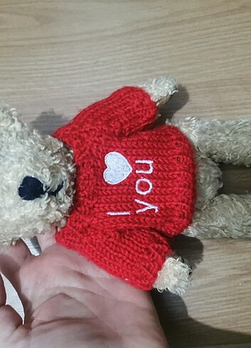 Beden Peluş Ayı