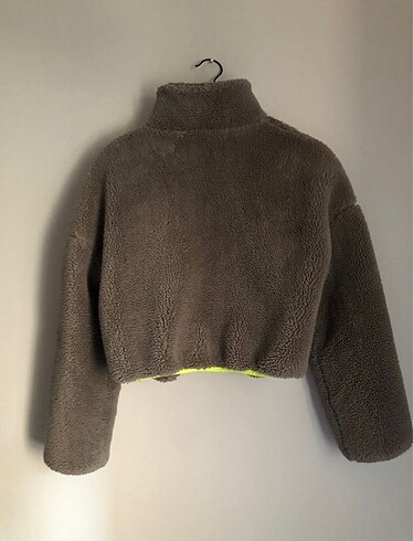 s Beden Pull ant bear