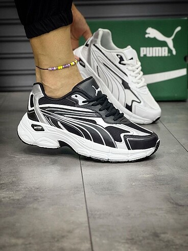 Siyah beyaz Puma