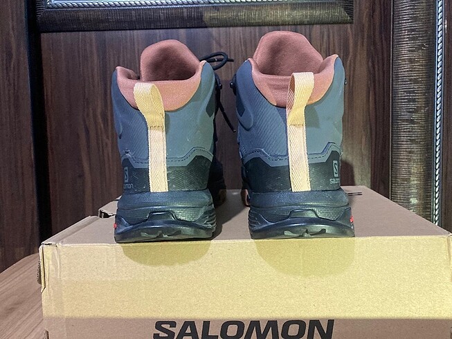 38 Beden Salomon bot