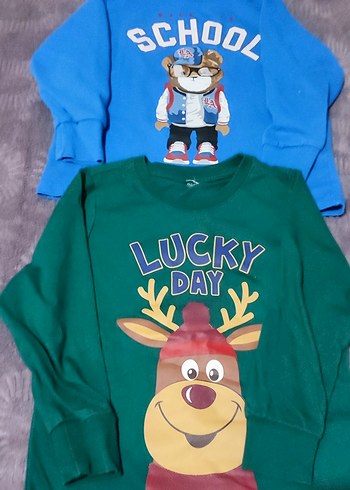 Renkli Erkek Çocuk Sweatshirt Uzun Kollu - Görsel 2