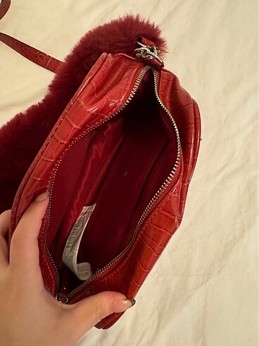 Stradivarius stradivarius canta