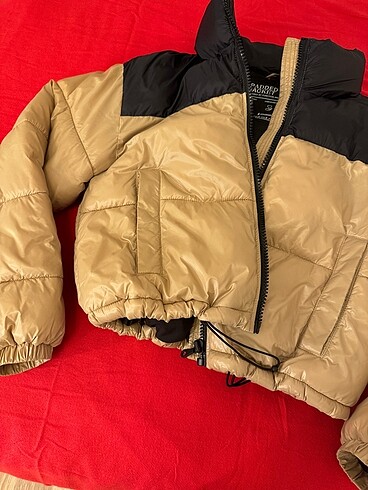 Stradivarius stradivarius sisme mont