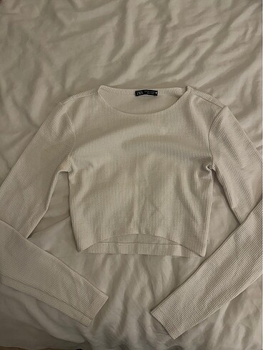 zara crop