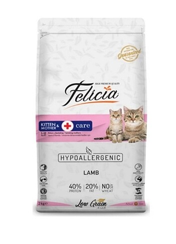 yavru kedi maması