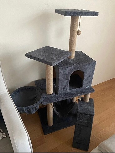  kedi evi