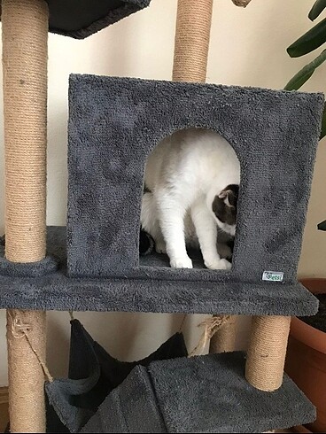 kedi evi - Görsel 6