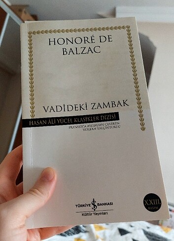 Vadideki zambak kitabı kitap