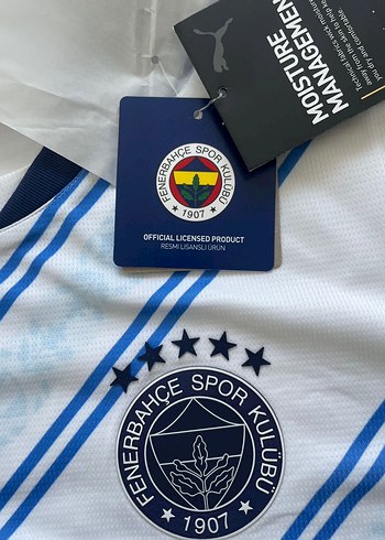 FENERBAHÇE SK 24/25 Erkek Forma - Görsel 3