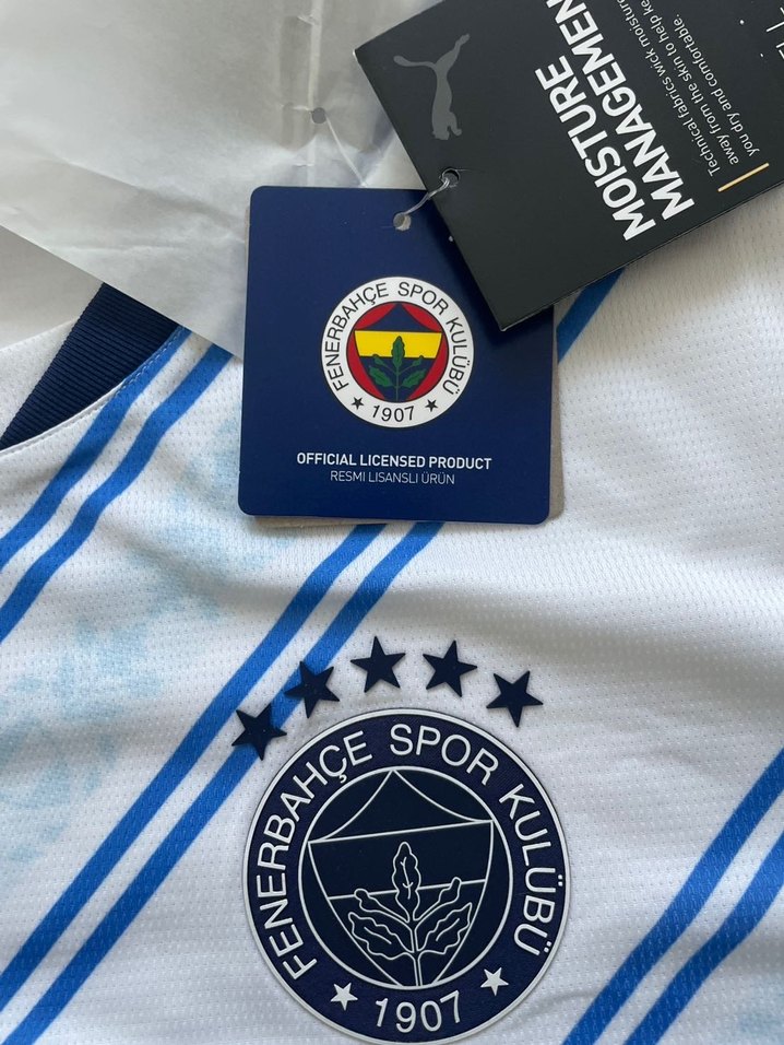 FENERBAHÇE SK 24/25 Erkek Forma - Görsel 3