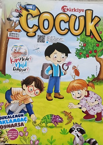 Beden Renk Türkiye Çocuk Dergisi - 74 adet