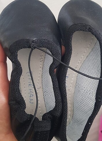 Pisi pisi - Görsel 5