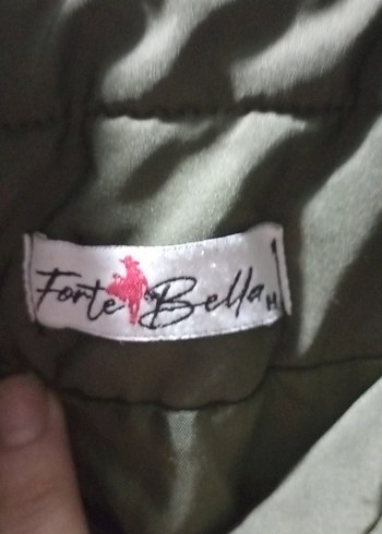 Gri Kısa Sıkı Kesim Kadın Kışlık Mont - Görsel 2