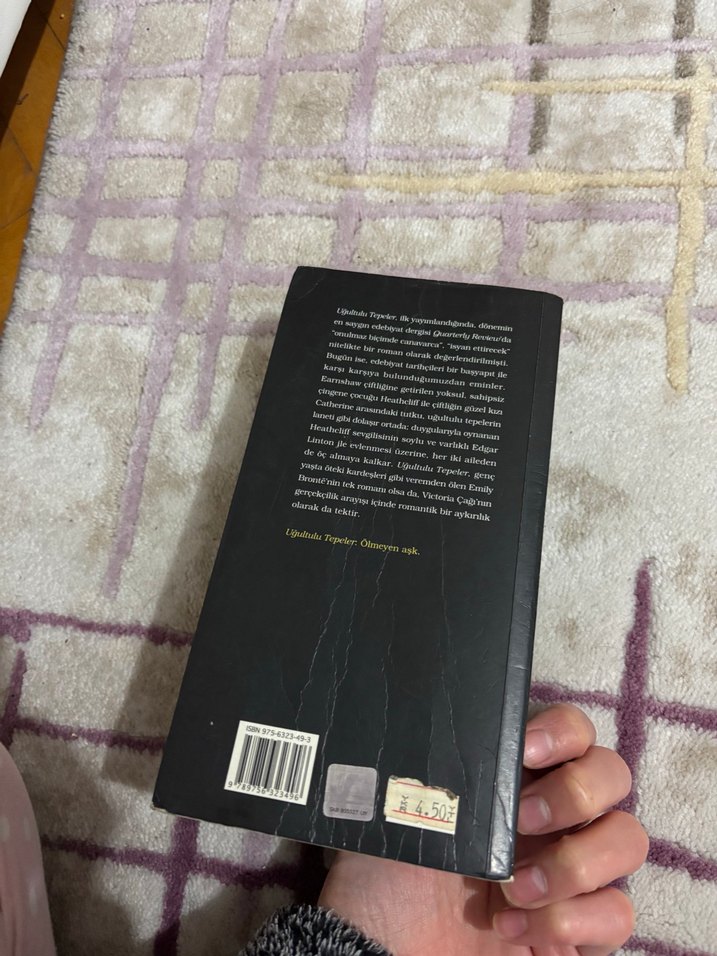 Uğultulu Tepeler - Emily Brontë - Görsel 4