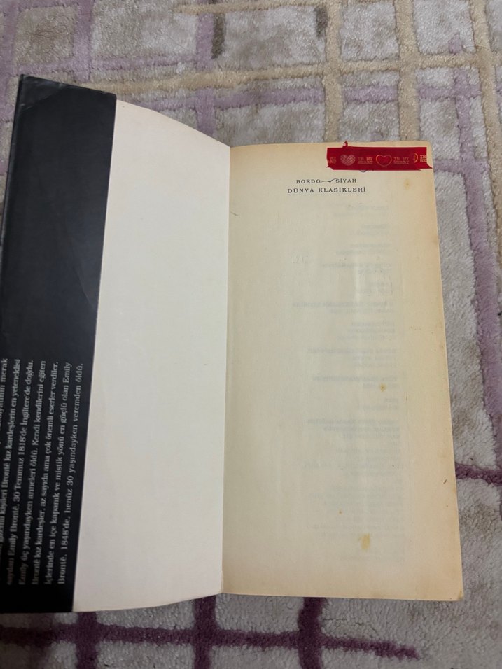 Uğultulu Tepeler - Emily Brontë - Görsel 2