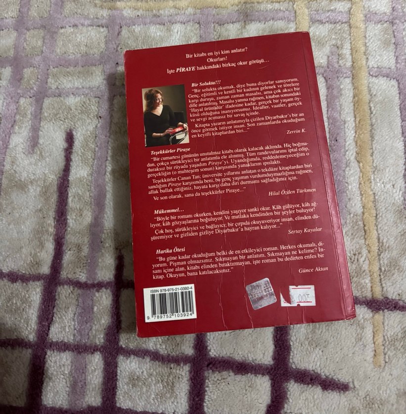 Canan Tan - Aşk ve Yalnızlık Romanı - Görsel 4