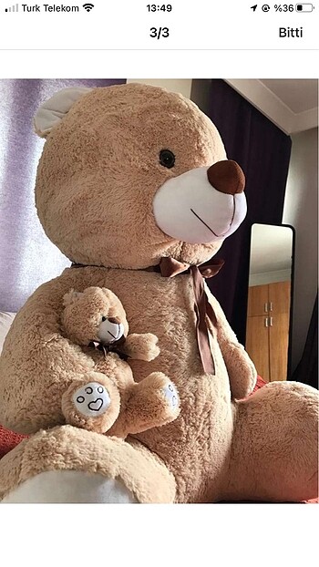  Beden Peluş Ayı