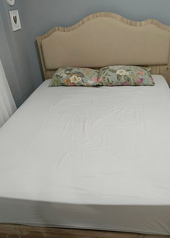 Baza ve başlık yeni daha az kullanıldı - Görsel 2