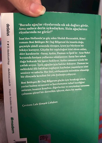  Beni Bekleyen Bir Dağ Biliyorum - Sholeh Rezazadeh