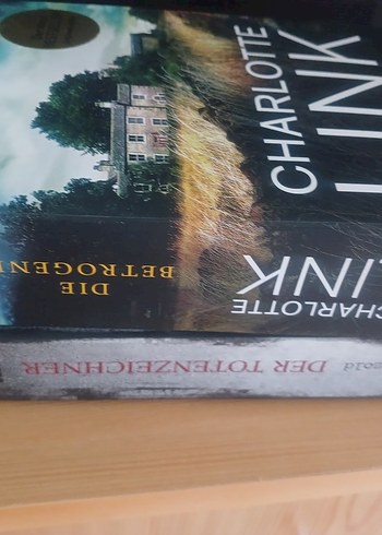 Almanca yazilmiş roman - Görsel 2