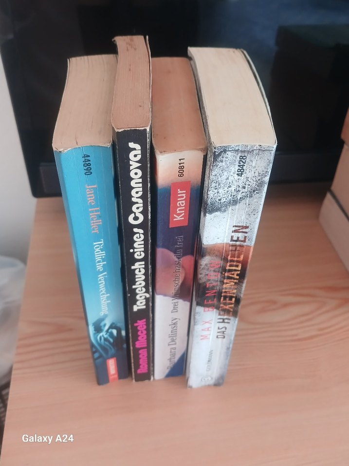 Almanca yazilmiş roman - Görsel 5