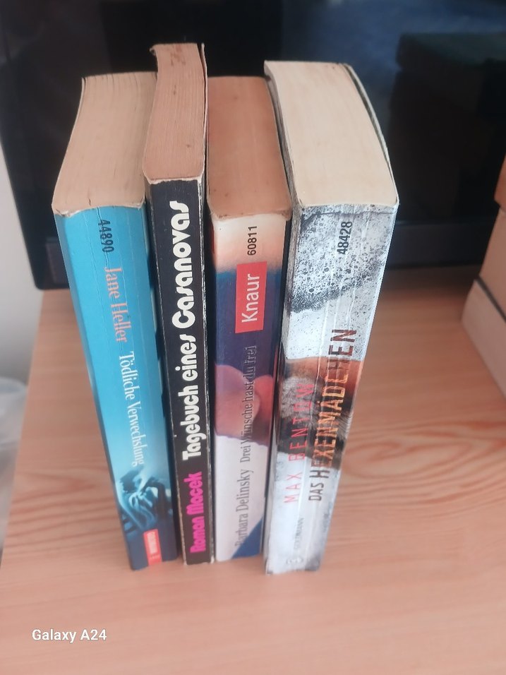 Almanca yazilmiş roman - Görsel 4