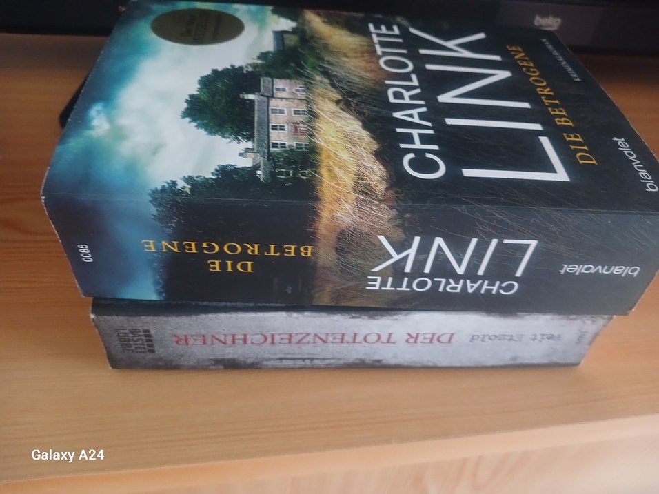 Almanca yazilmiş roman - Görsel 2