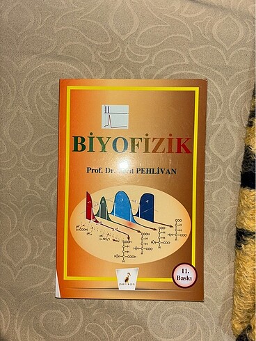  Biyofizik