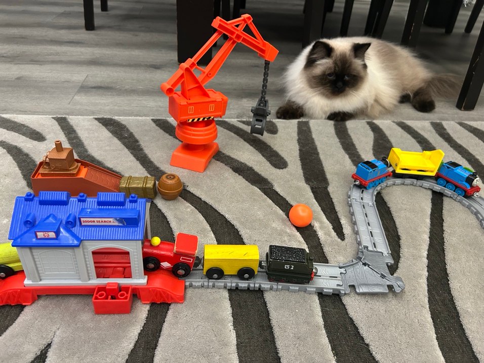 Thomas ray Seti ve Aksesuarları - Görsel 4